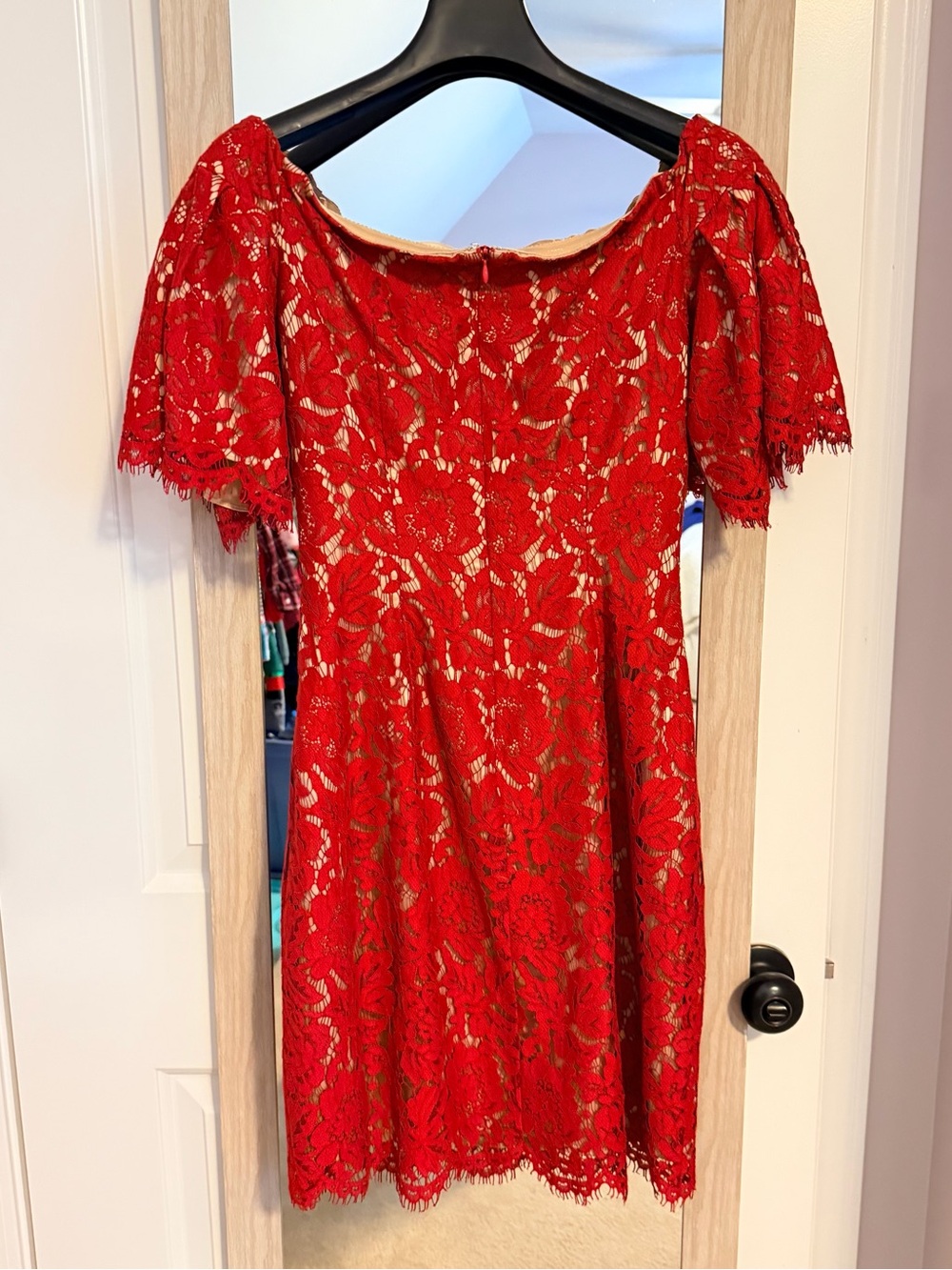 Eliza J Red Lace Dress with Blush Lining